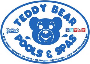 TEDDY BEAR POOLS SPAS LOGO