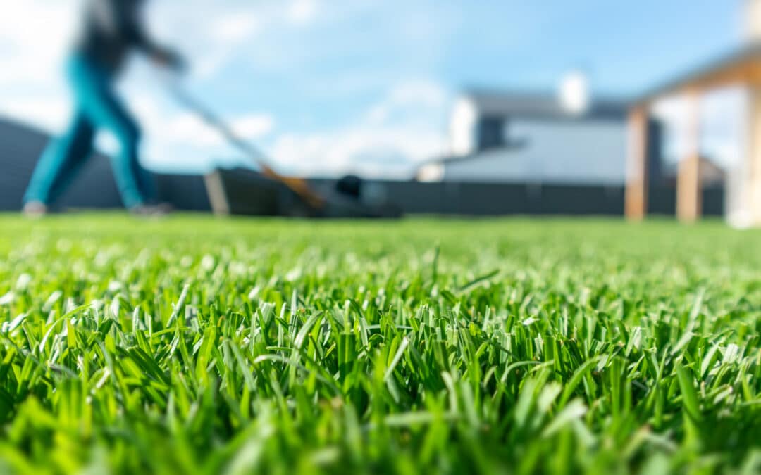 How to Care for Your Lawn: Expert Tips from G&H Landscaping