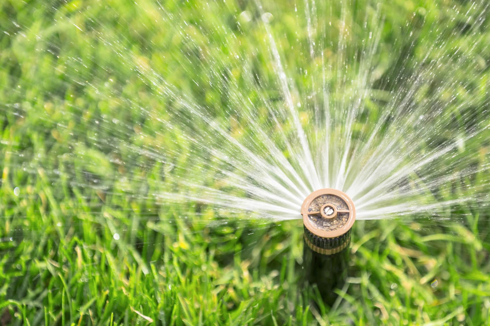 A macro close up of the grass which is a vibrant green. In the distance there is a blurred image of someone in blue jeans mowing the lawn.