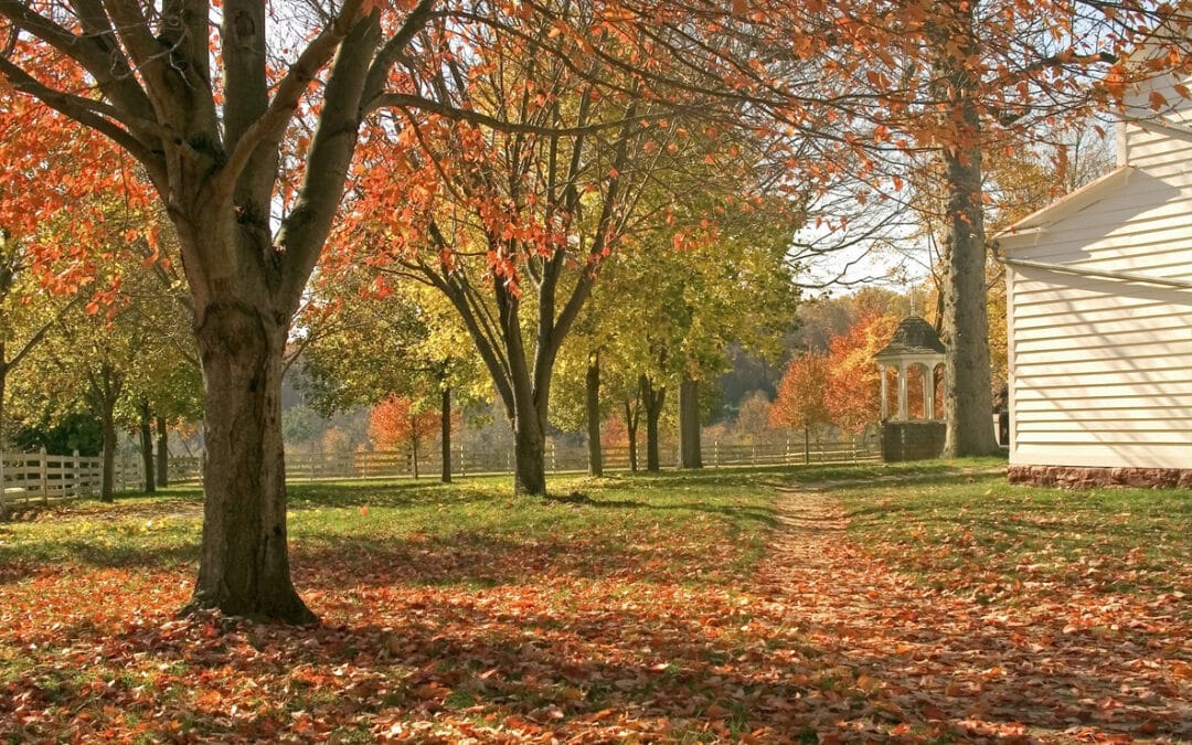 Why Fall Prep Matters For Western MA Landscapes