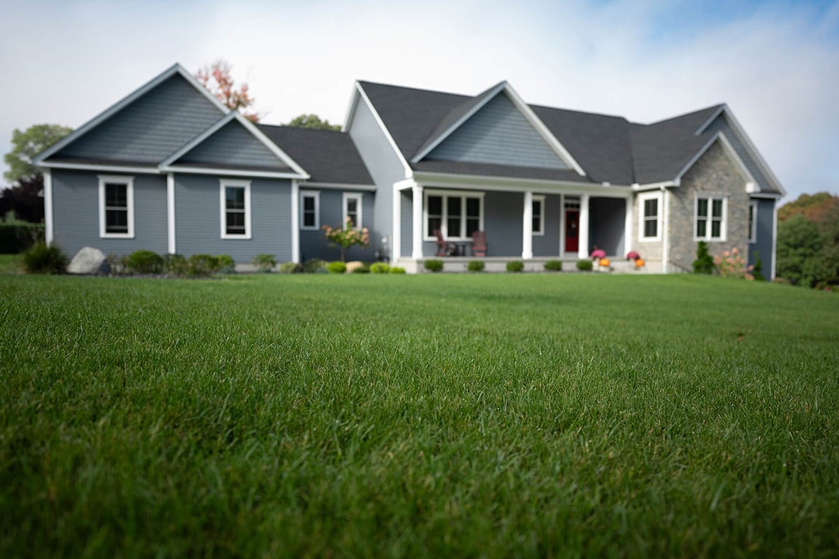 A macro close up of the grass which is a vibrant green. In the distance there is a blurred image of someone in blue jeans mowing the lawn.